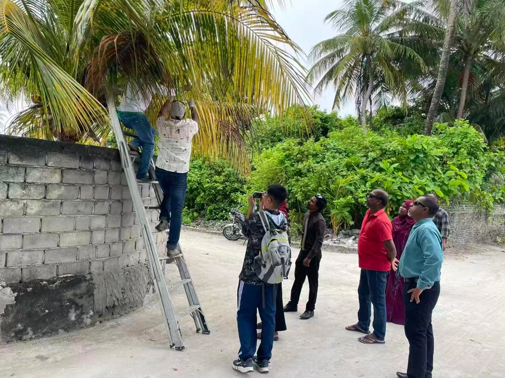 photo for ހއ. ބާރަށުަގއި ސޫފިތައް ކޮންޓްރޯލް ކުރާ "ސިސްޓެމިކް ޕެސްޓިސައިޑް" ބޭނުން ކުރާނެ އަމަކީ ހަރަކާތެއް  